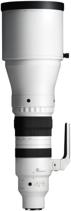 300-600mm F4 DG OS | Sports
