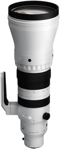 300-600mm F4 DG OS | Sports