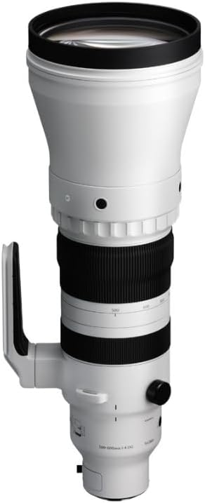 300-600mm F4 DG OS | Sports