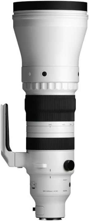 300-600mm F4 DG OS | Sports