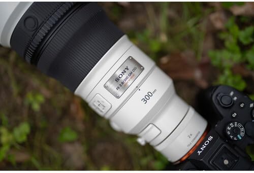 Sony FE 300mm f/2.8 GM OSS Lens & Backpack & Card Reader Bundle | For Photography & Video | Card Wallet | Lens Cap + 64GB Memory Card + Cleaning Kit + Card Reader + Photo Software