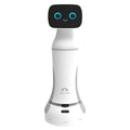 Generic Guided Tour of The Robot