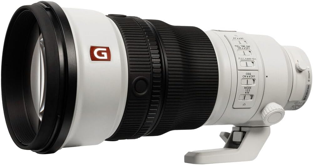 Sony FE 300mm f/2.8 GM OSS Lens & Backpack & Card Reader Bundle | For Photography & Video | Card Wallet | Lens Cap + 64GB Memory Card + Cleaning Kit + Card Reader + Photo Software