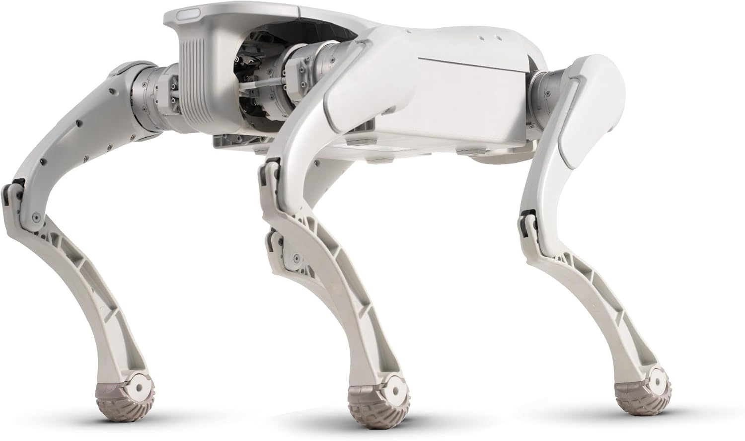 FX Aegis Pro AI Robot Dog, Programmable Quadruped Robot for Entry Level Education