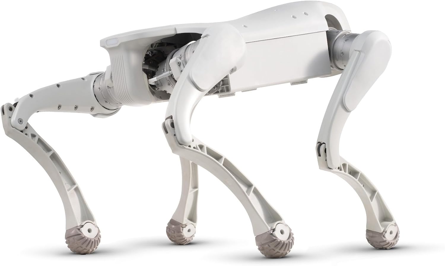 FX Aegis Edu Programmable Robot Dog, AI Quadruped Robot for STEM Education and Research