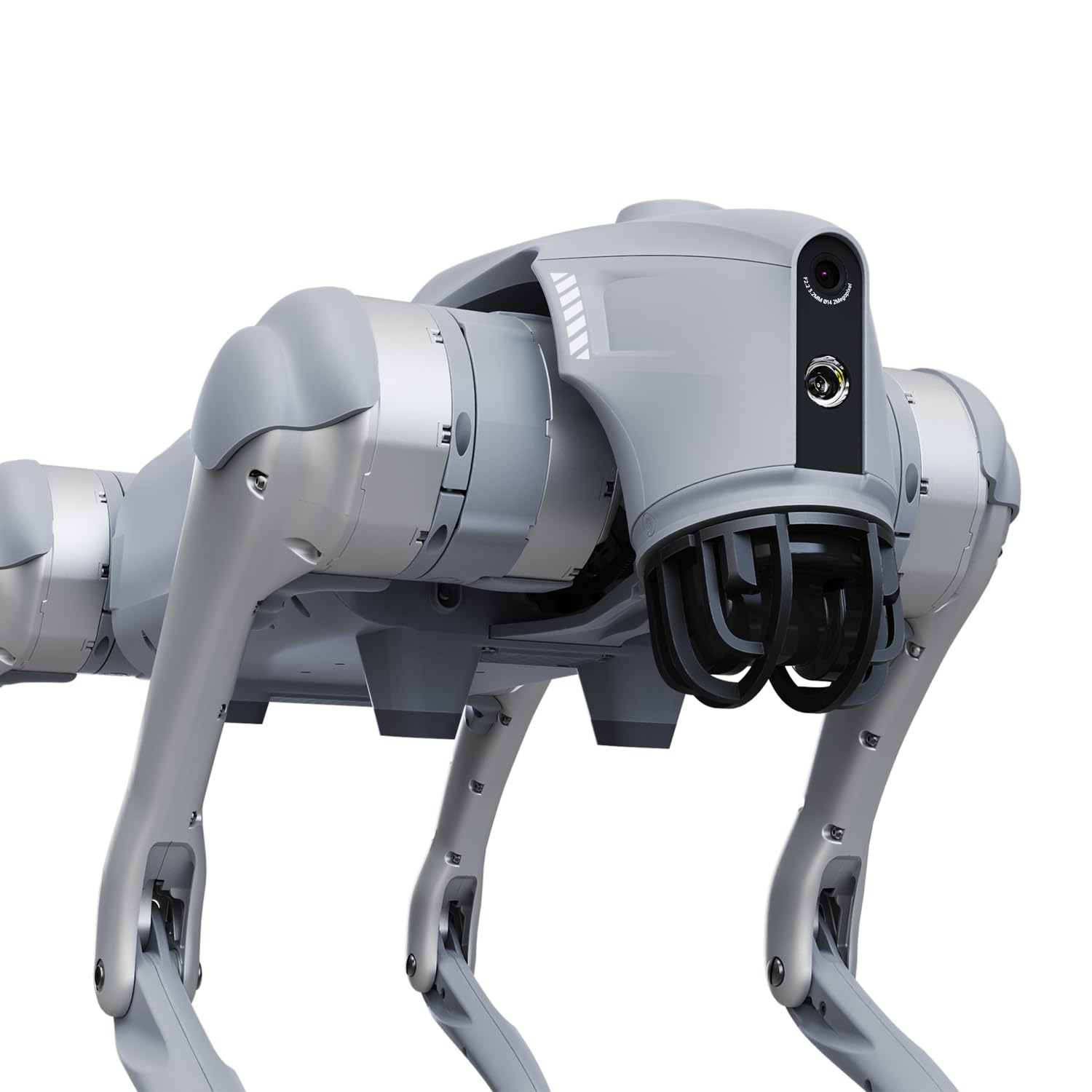 Unitree Go2 Robot Dog Quadruped Robotics for Adults Embodied AI (Go2 X) Built for Developers
