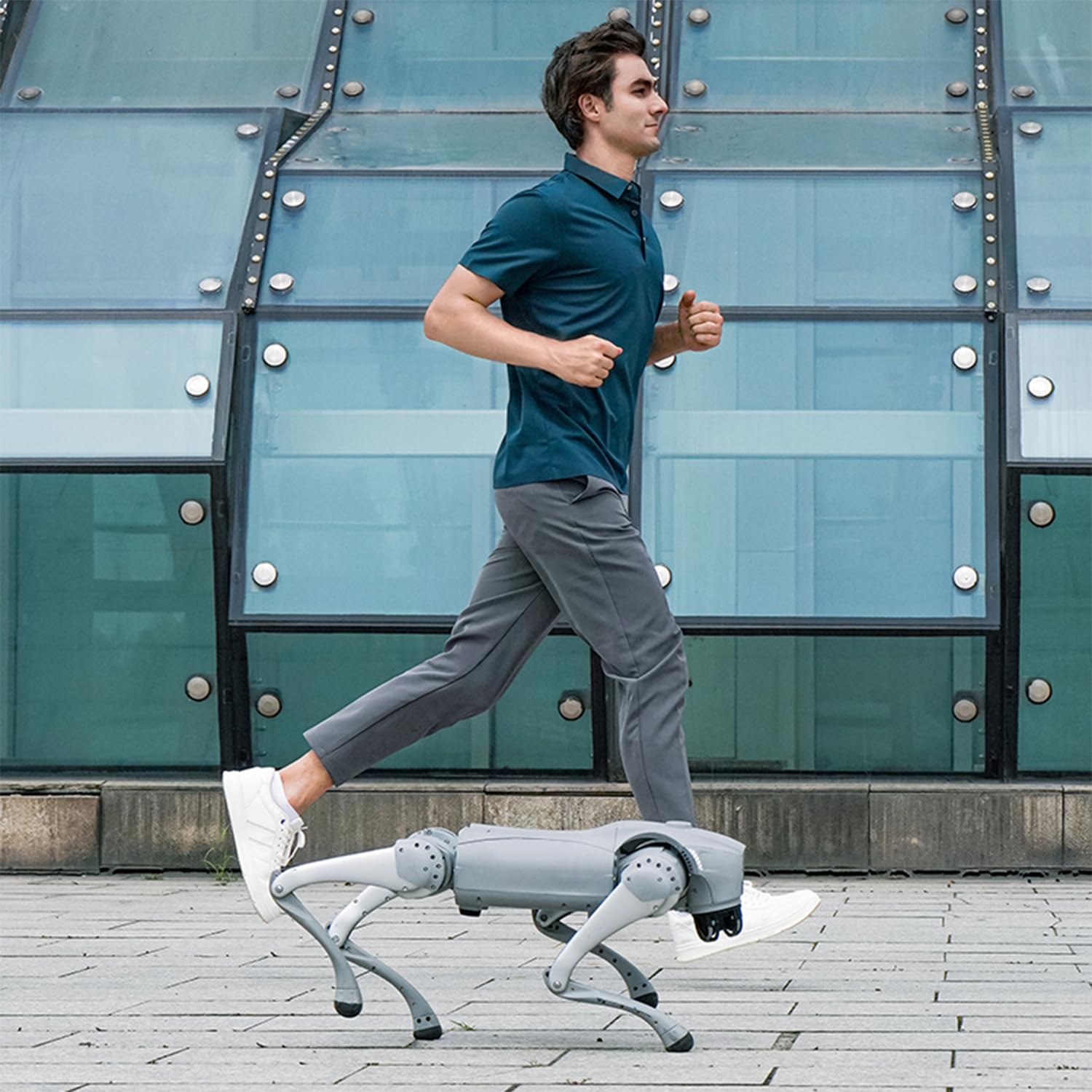 Unitree Go2 Robot Dog Quadruped Robotics for Adults Embodied AI (Go2 X) Built for Developers