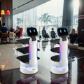 Humanized Delivery Robot with Smart Table Locator System, Shock-Absorbing Structure & Precise Speed, Multi-Table Service Robot for Restaurant Hotel, Auto Charge & Long Working Time