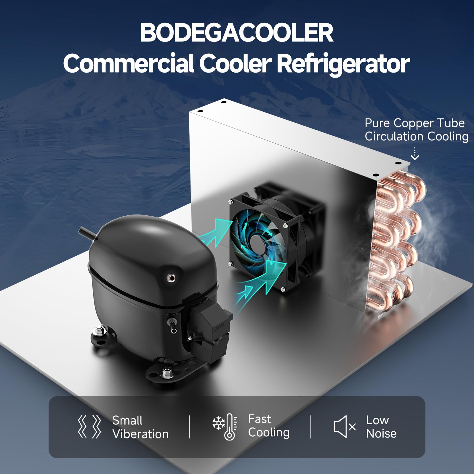 BODEGACOOLER Commercial Merchandiser Refrigerator, 27.02 Cu.Ft Double Glass Door Beverage Cooler, Upright Display Refrigerator with Soft LED Light, Adjustable Shelves, 4 Heavy-Duty Casters, Black
