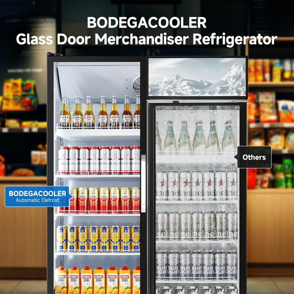 BODEGACOOLER Commercial Merchandiser Refrigerator, 27.02 Cu.Ft Double Glass Door Beverage Cooler, Upright Display Refrigerator with Soft LED Light, Adjustable Shelves, 4 Heavy-Duty Casters, Black