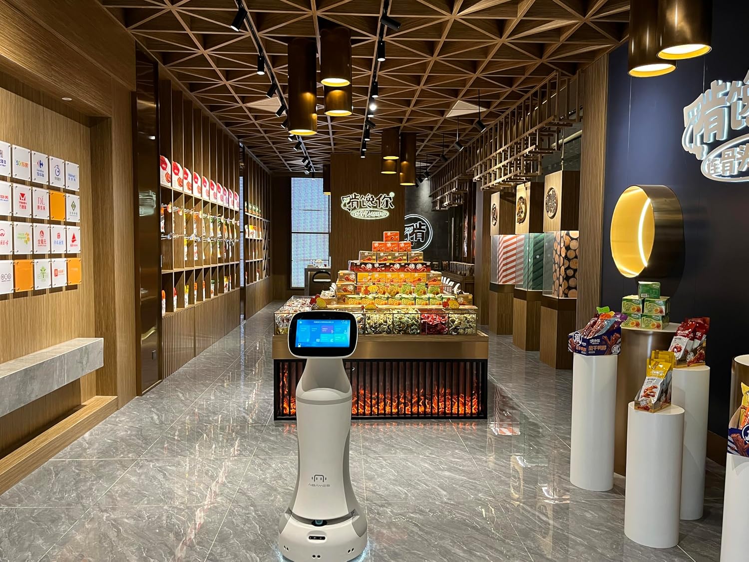 Generic Guided Tour of The Robot